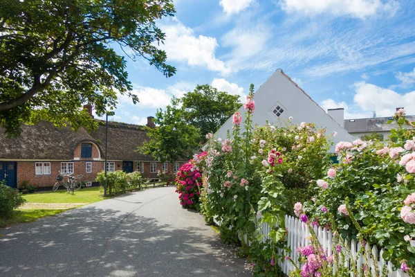 Blühende Blumen Und Schöne Alte Häuser Dorf Nordby Auf Der — Stockfoto
