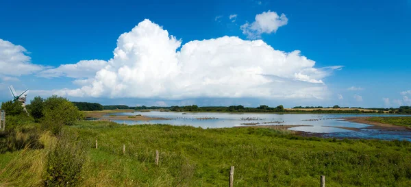 Panoramalandschaft Des Naturschutzgebietes Geltinger Birk Mit Wasser Vögeln Windmühle Und — Stockfoto