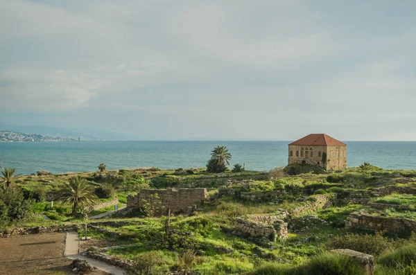 Oud Huis Van Schaal Schelpdieren Byblos Libanon — Gratis stockfoto