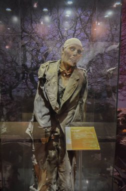 Guanajuato, Meksika - 06 Mayıs 2013: El Museo De Las Momias, Guanajuato, 1833 doğal mumyalama bir kolera salgını nedeniyle gömülü mumyalar.