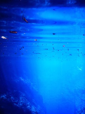 Lagün gizemli, güzel lagün turkuaz mavi, duru suları, palamut, Mato Grosso do Sul, Brezilya kentinde bulunan