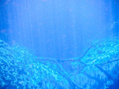 Lagün gizemli, güzel lagün turkuaz mavi, duru suları, palamut, Mato Grosso do Sul, Brezilya kentinde bulunan