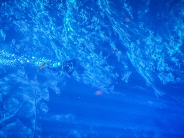 Pratik dalış ve şnorkel, gizemli lagün, palamut, şehirde bulunan şeffaf turkuaz mavi su güzel lagün Mato Grosso yapmak Sul, Brezilya