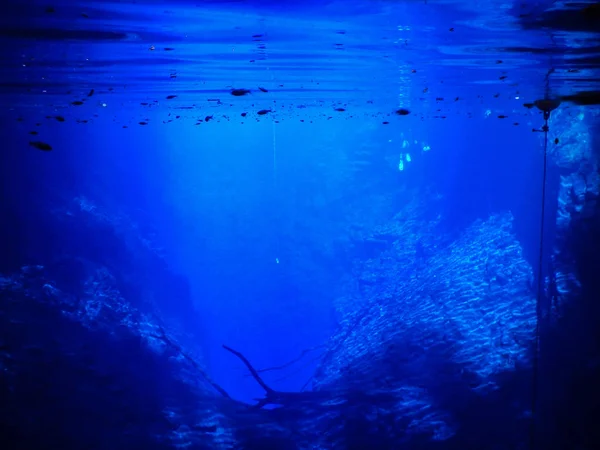 Laguna Misteriosa Bella Laguna Acque Trasparenti Blu Turchese Situata Nella — Foto Stock