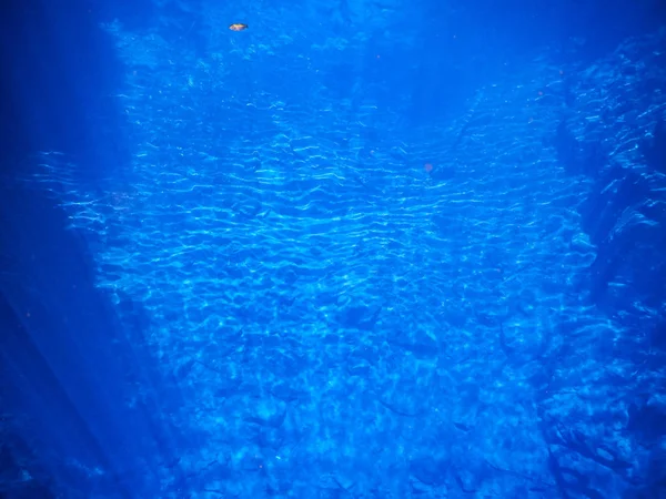 Laguna Misteriosa Bella Laguna Acque Trasparenti Blu Turchese Situata Nella — Foto Stock