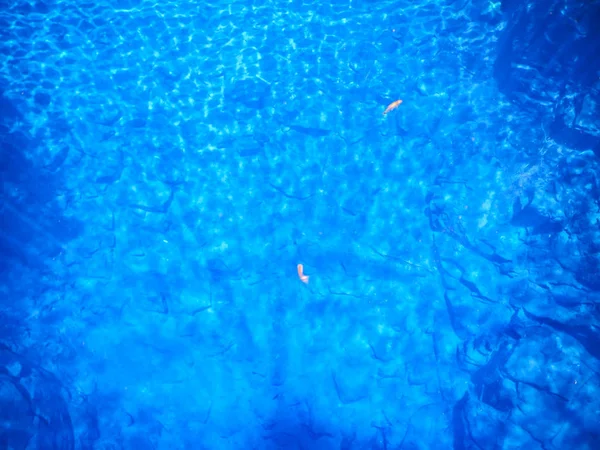 Laguna Misteriosa Hermosa Laguna Aguas Transparentes Color Azul Turquesa Ubicada — Foto de Stock