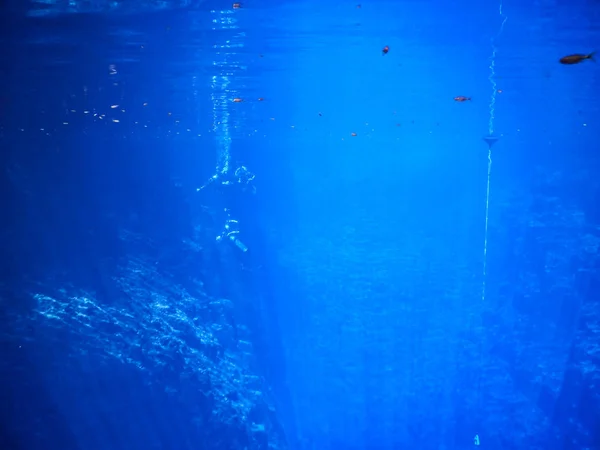 Praticando Mergulho Snorkeling Misteriosa Lagoa Bela Lagoa Águas Azuis Turquesa — Fotografia de Stock