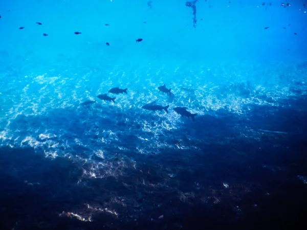 Lagoa Misteriosa Bela Lagoa Águas Transparentes Azul Turquesa Localizada Cidade — Fotografia de Stock