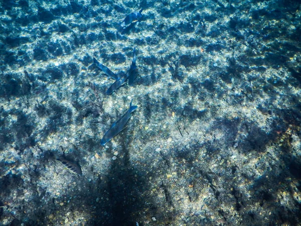 Laguna Misteriosa Hermosa Laguna Aguas Transparentes Color Azul Turquesa Ubicada —  Fotos de Stock