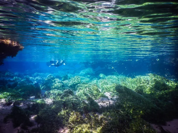 Praticando Mergulho Snorkeling Misteriosa Lagoa Bela Lagoa Águas Azuis Turquesa — Fotografia de Stock