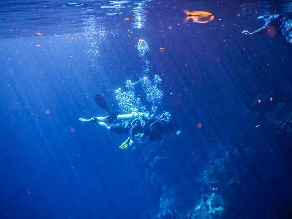 Praktikující Potápění Šnorchlování Tajemné Laguně Krásná Laguna Transparentní Tyrkysově Modrou — Stock fotografie