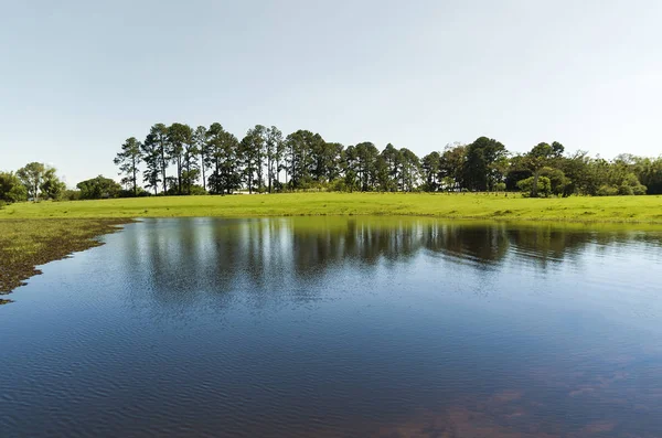 Krajina Gaucho Pohoří Řek Hor Araucarias Město Bom Jesus Sao — Stock fotografie