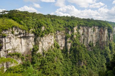 Güzel manzara Itaimbezinho Kanyon ve yeşil rainforest Cambara do Sul, Rio Grande yapmak Sul, Brezilya