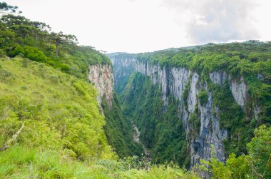 Güzel manzara Itaimbezinho Kanyon ve yeşil rainforest Cambara do Sul, Rio Grande yapmak Sul, Brezilya