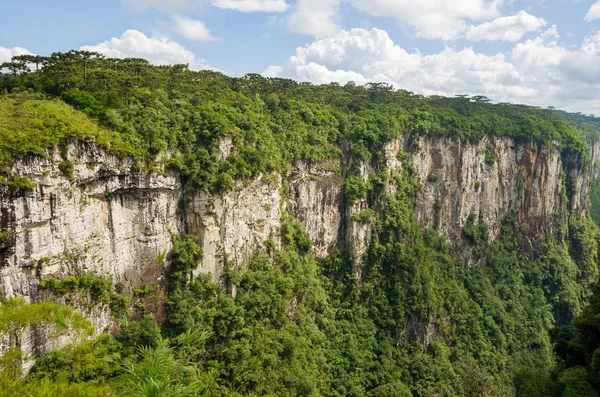 Beautiful Landscape Itaimbezinho Canyon Green Rainforest Cambara Sul Rio Grande — Stock Photo, Image