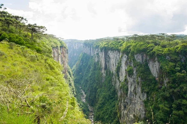 Hermoso Paisaje Del Cañón Itaimbezinho Selva Verde Cambara Sul Rio — Foto de Stock