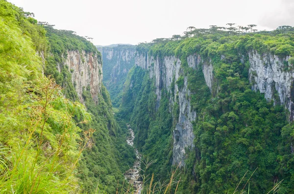 Beautiful Landscape Itaimbezinho Canyon Green Rainforest Cambara Sul Rio Grande — Stock Photo, Image