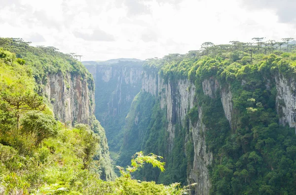 Beautiful Landscape Itaimbezinho Canyon Green Rainforest Cambara Sul Rio Grande — Stock Photo, Image