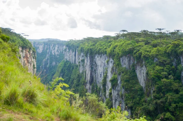 Beautiful Landscape Itaimbezinho Canyon Green Rainforest Cambara Sul Rio Grande — Stock Photo, Image