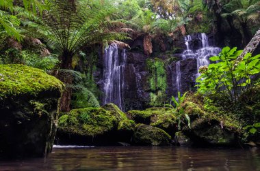Rio Grande do Sul, doğa kavramı güzel çağlayan.