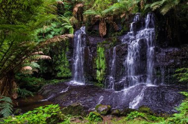 Rio Grande do Sul, doğa kavramı güzel çağlayan.