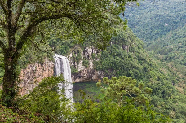 Beautiful view of Caracol Waterfall (Snail Waterfall) - Canela- — Stock Photo, Image