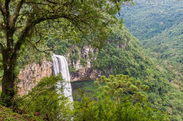 Beautiful view of Caracol Waterfall (Snail Waterfall) - Canela- — Stock Photo, Image