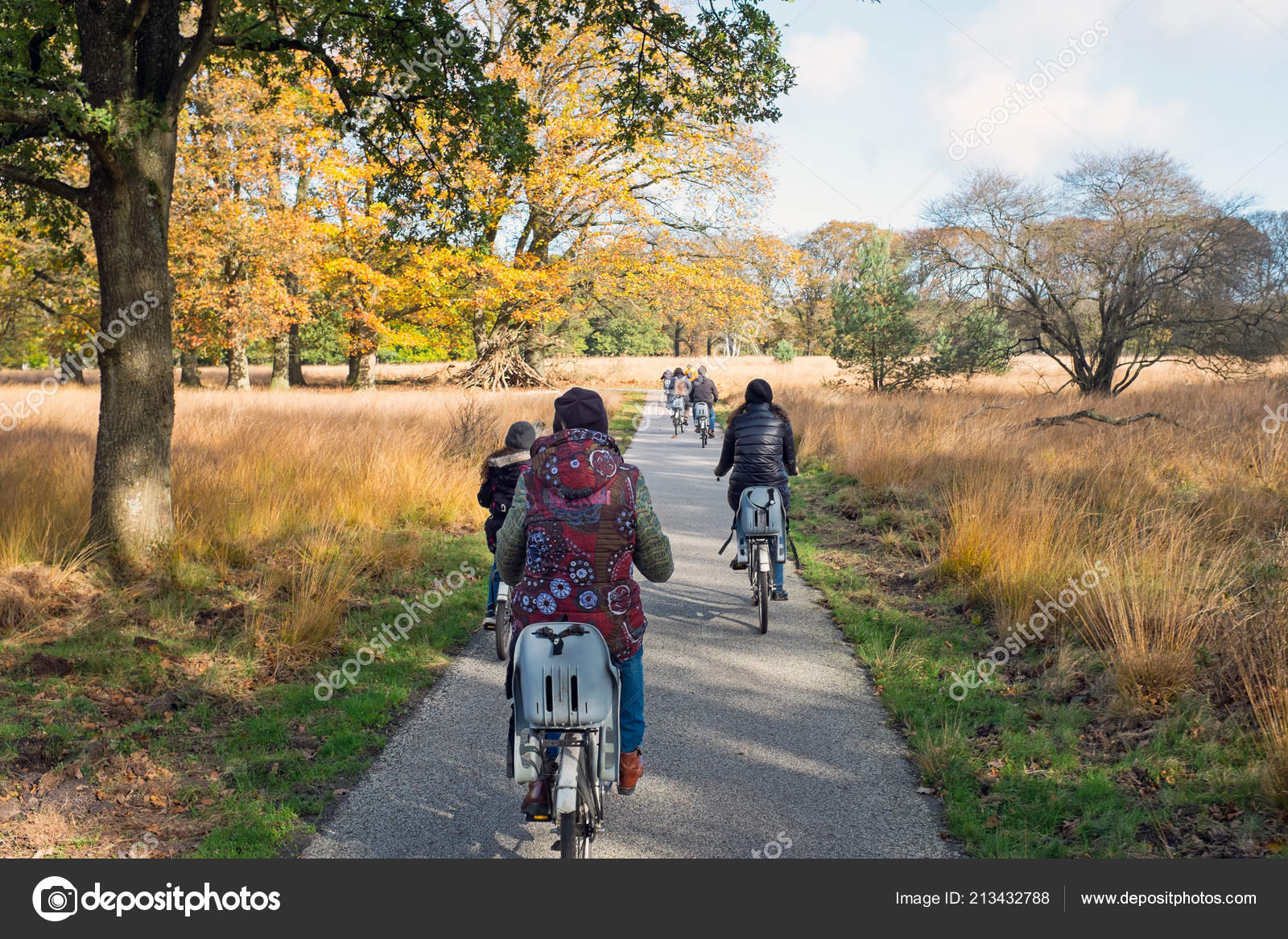Radfahren Nationalpark Hoge Veluwe Den Niederlanden - Stockfotografie:  lizenzfreie Fotos © nilaya 213432788 | Depositphotos