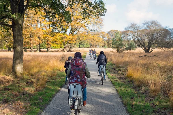 Biking National Park Hoge Veluwe Netherlands — Stock Photo, Image