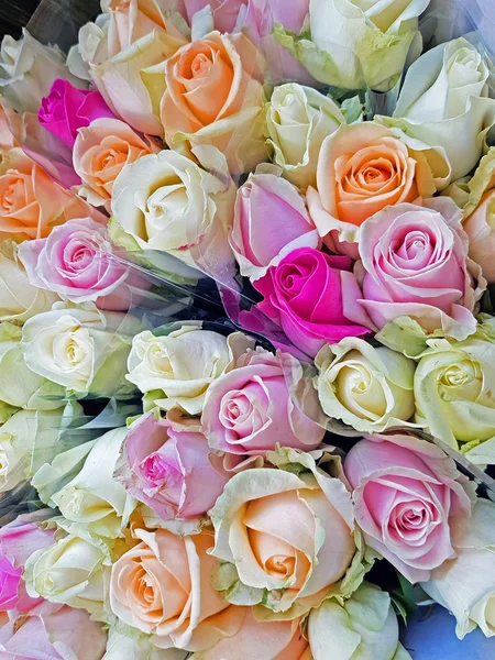 Colorido Ramo Rosas —  Fotos de Stock