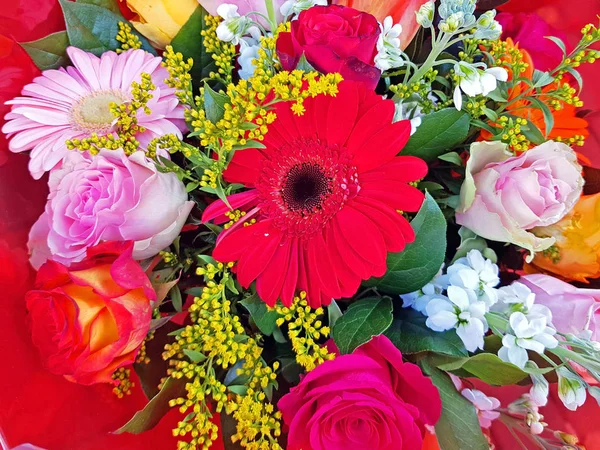 Piękny Bukiet Letnich Kwiatów — Zdjęcie stockowe