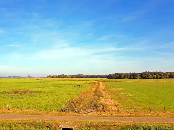 Piękny Krajobraz Holenderskich Holandii — Zdjęcie stockowe