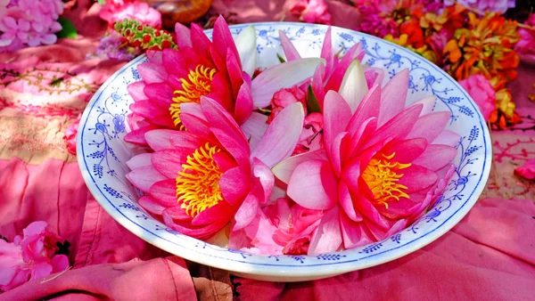 Blossoming Lotus Flowers Bowl Puja — Stock Photo, Image