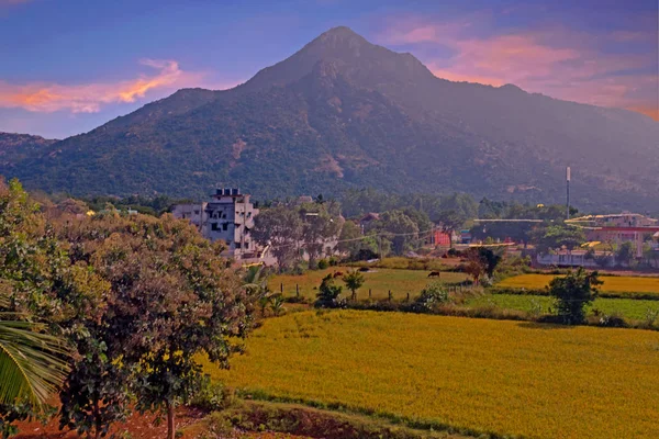Montanha Arunachala Tiruvannamalai Tamil Nadu Índia Referida Nas Escrituras Antigas — Fotografia de Stock