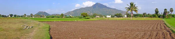 Berg Arunachala Tiruvannamalai Tamil Nadu India Wordt Genoemd Oude Scriptures — Stockfoto