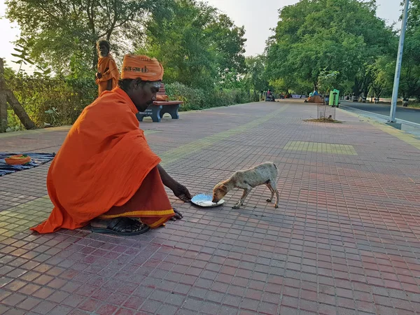 Tiruvanamalai Indie Ledna 2019 Sádhu Krmení Psí Miminka Chai Indii — Stock fotografie