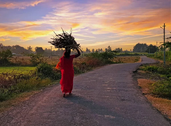 Ινδική Γυναίκα Σπίτι Περπατώντας Καυσόξυλα Στην Ινδία Στο Ηλιοβασίλεμα — Φωτογραφία Αρχείου
