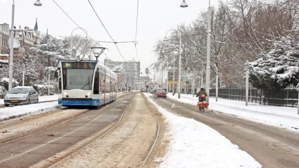 Snowy Amsterdam Netherlands Winter — Stock Video