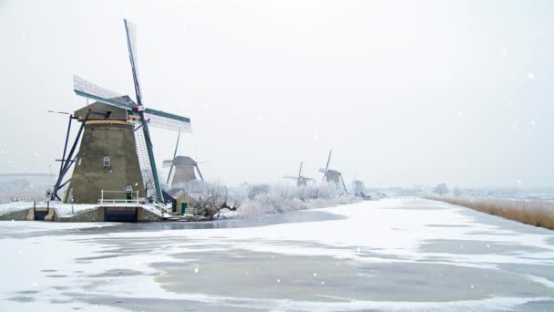 Snowy Kinderdijk Inverno Nei Paesi Bassi — Video Stock