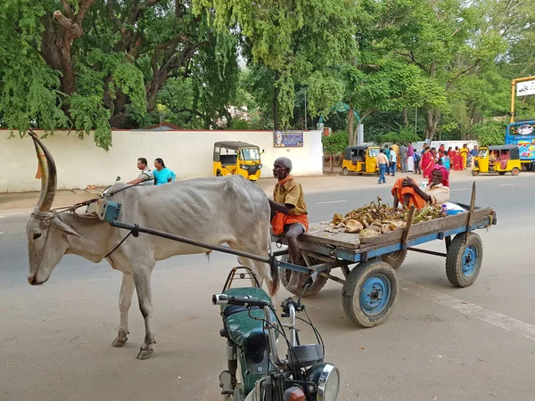 Tiruvanamalai, Ινδία-10 Δεκεμβρίου, 2019: Οδός σκηνή στο Tiruvan — Φωτογραφία Αρχείου