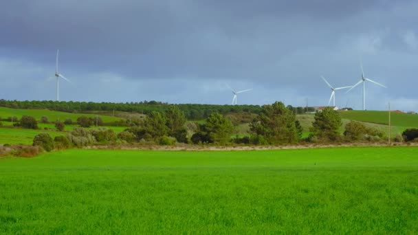 Molinos Viento Campo Portugal — Vídeo de stock