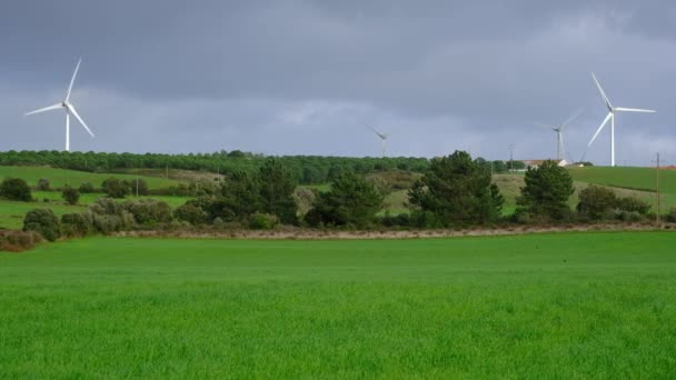 Molinos Viento Campo Portugal — Vídeo de stock