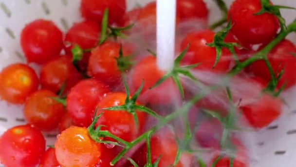 Lavagem Tomates Cereja Sob Torneira — Vídeo de Stock