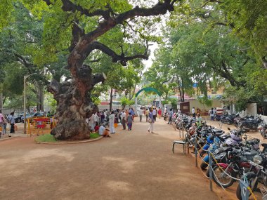 Tiruvanamalai, Hindistan - 15 Aralık 2019: Ramana Ashram in Tiruva