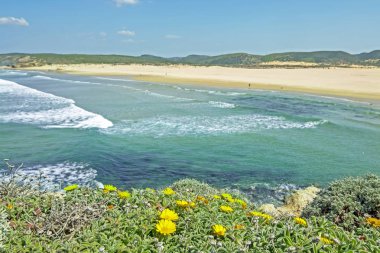 Algarve Portugal içinde Carapateira plajında görüntüle