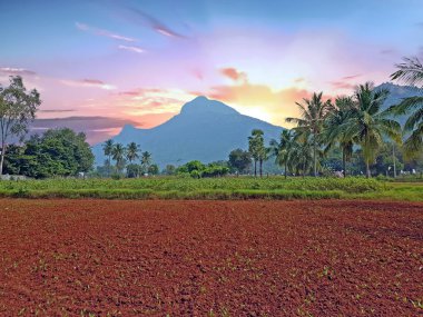 Tiruvanamalai Tamil Nadu Hindistan'da kutsal dağ Arunachala bir