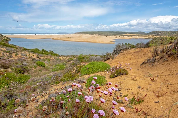 Blick vom Strand von Carapateira an der Algarve — Stockfoto