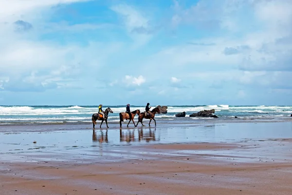 Horse riding at Carapateira beach in the Algarve Portugal — Stock Photo, Image