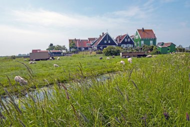 Hollanda kırsal geleneksel Hollanda evleri