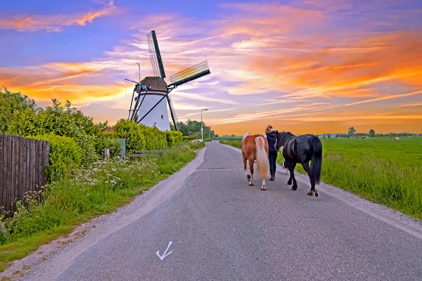 荷兰景观与传统的风车在乡村f — 图库照片